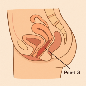 point g squirt